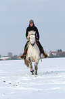 woman rides warmblood