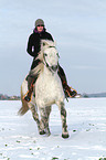 woman rides warmblood