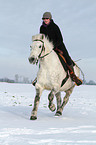 woman rides warmblood