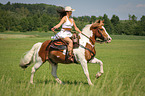 woman rides warmblood