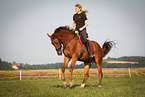 woman rides warmblood