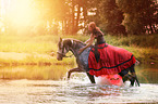 woman rides warmblood