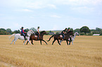 riding