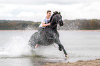 man rides warmblood