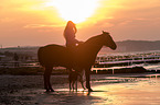 woman rides warmblood