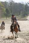 humans rides Horses