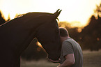 man with Warmblood