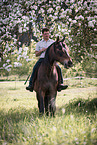 man and warmblood