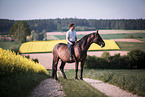 man and warmblood