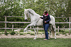 warmblood at training