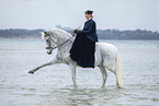 woman and warmblood