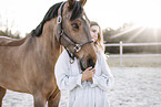 warmblood mare