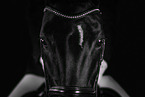 warmblood