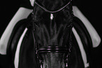 warmblood
