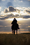 woman with warmblood