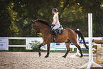 warmblood