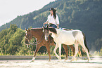 Warmblood