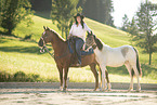 Warmblood