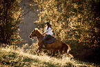 Warmblood