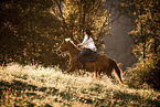 Warmblood