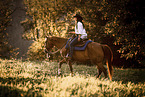 Warmblood