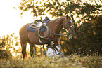 Warmblood