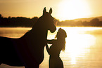 warmblood