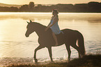 warmblood