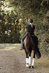 warmblood