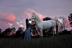 warmblood