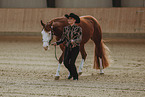 warmblood