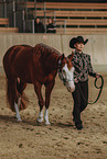 warmblood