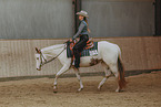 warmblood