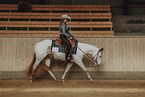 warmblood