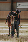 warmblood