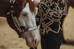 warmblood