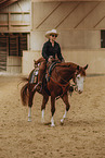warmblood