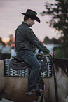 warmblood
