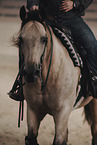 warmblood