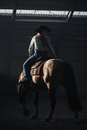 warmblood