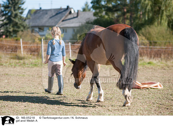 girl and Welsh A / NS-05218