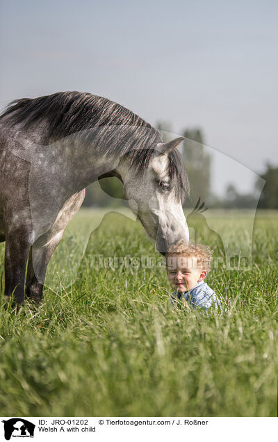 Welsh A with child / JRO-01202
