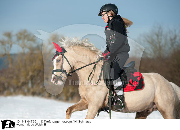 Frau reitet Welsh B / woman rides Welsh B / NS-04725