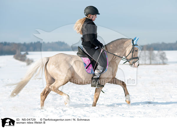 Frau reitet Welsh B / woman rides Welsh B / NS-04729