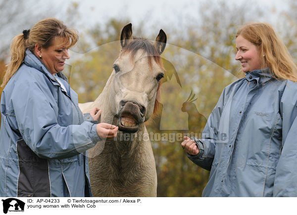 young woman with Welsh Cob / AP-04233