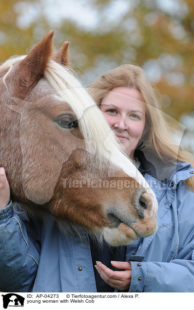 young woman with Welsh Cob / AP-04273