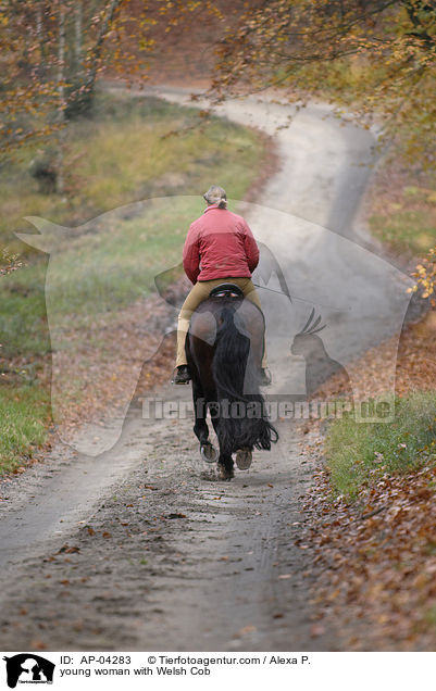 junge Frau mit Welsh Cob / young woman with Welsh Cob / AP-04283