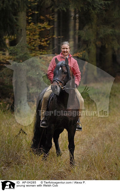 junge Frau mit Welsh Cob / young woman with Welsh Cob / AP-04285