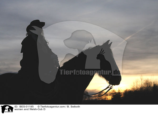 woman and Welsh-Cob D / BES-01185