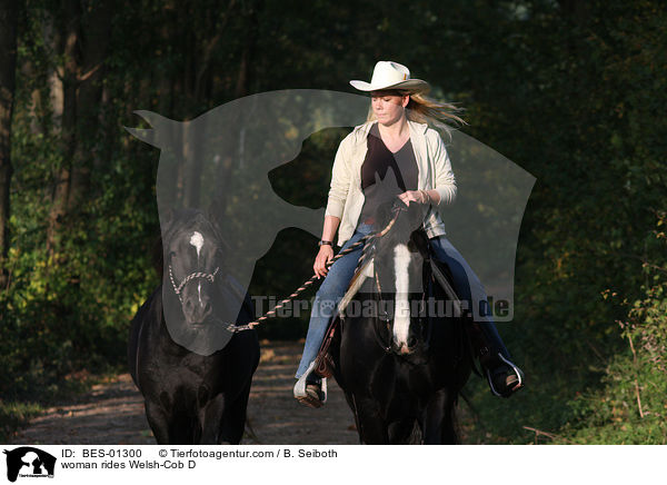 woman rides Welsh-Cob D / BES-01300
